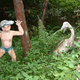 Image for article titled Welcome to Singapore's most baffling tourist attraction